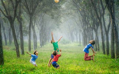 SOBRE A FELICIDADE – COMO SER FELIZ?